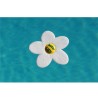 Water Lily - absorbant de résidus gras Water Lily - absorbant de résidus gras