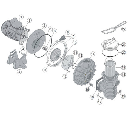 19 - Panier pour pompe STA RITE 5P2R