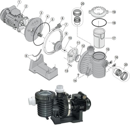 17 - Panier pompe STA RITE 5P6R