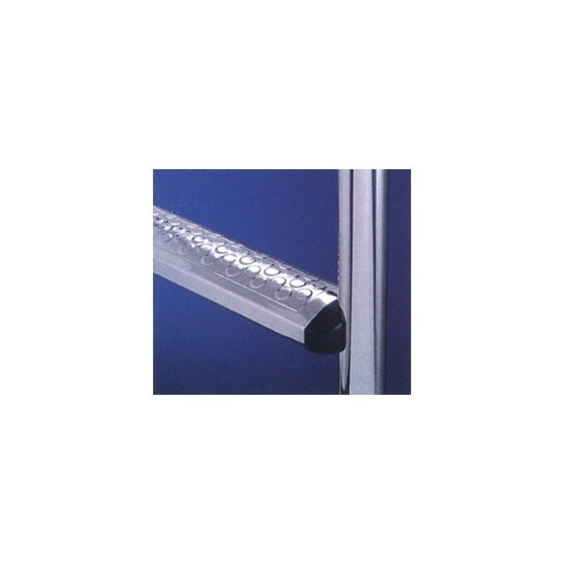 Echelle droite 3 marches inox